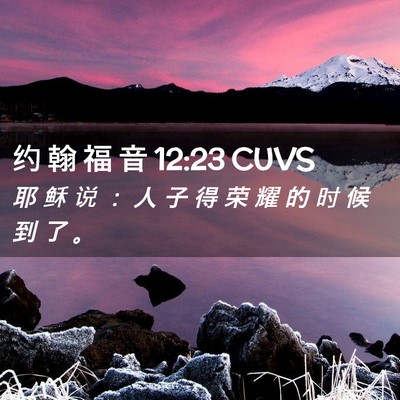 Picture 02 - 约 翰 福 音 12:23 CUVS - 耶 稣 说 ： 人 子 得 荣 耀 的 时 候 - Bible Verse Picture
