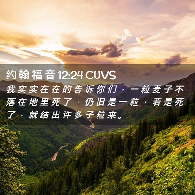 Picture 02 - 约 翰 福 音 12:24 CUVS - 我 实 实 在 在 的 告 诉 你 们 ， 一 - Bible Verse Picture