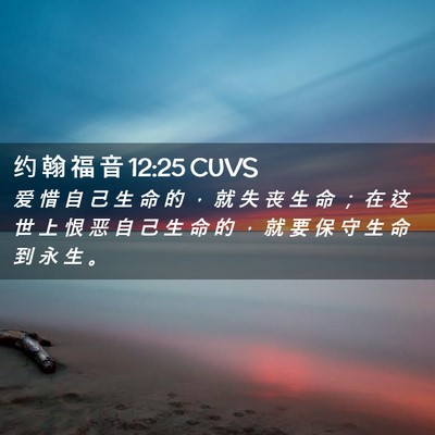Picture 02 - 约 翰 福 音 12:25 CUVS - 爱 惜 自 己 生 命 的 ， 就 失 丧 生 - Bible Verse Picture