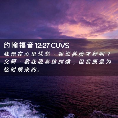 Picture 02 - 约 翰 福 音 12:27 CUVS - 我 现 在 心 里 忧 愁 ， 我 说 甚 麽 - Bible Verse Picture