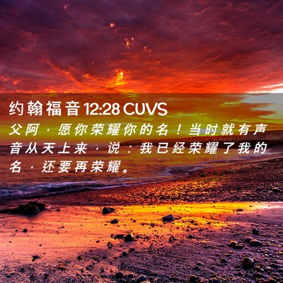 Picture 02 - 约 翰 福 音 12:28 CUVS - 父 阿 ， 愿 你 荣 耀 你 的 名 ！ 当 - Bible Verse Picture