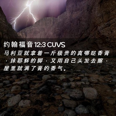 Picture 02 - 约 翰 福 音 12:3 CUVS - 马 利 亚 就 拿 着 一 斤 极 贵 的 真 - Bible Verse Picture