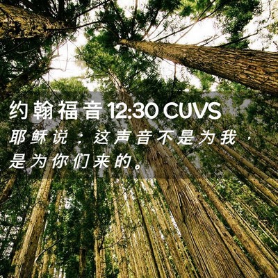 Picture 02 - 约 翰 福 音 12:30 CUVS - 耶 稣 说 ： 这 声 音 不 是 为 我 ， - Bible Verse Picture