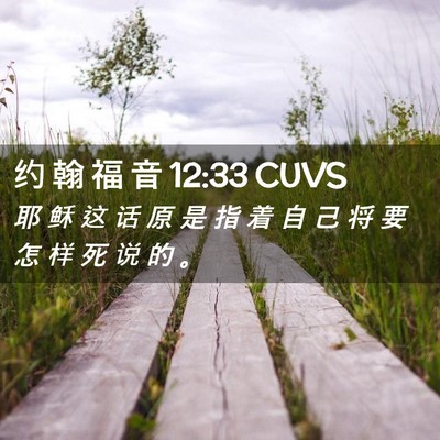 Picture 02 - 约 翰 福 音 12:33 CUVS - 耶 稣 这 话 原 是 指 着 自 己 将 要 - Bible Verse Picture