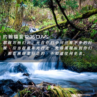 Picture 02 - 约 翰 福 音 12:35 CUVS - 耶 稣 对 他 们 说 ： 光 在 你 们 中 - Bible Verse Picture