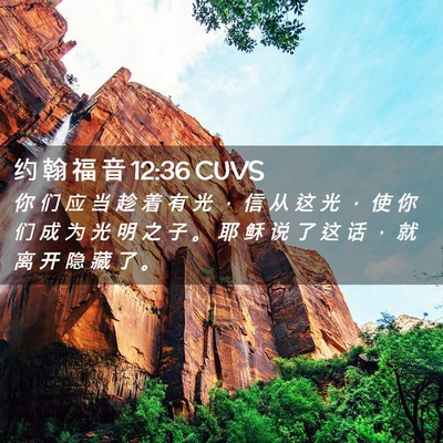 Picture 02 - 约 翰 福 音 12:36 CUVS - 你 们 应 当 趁 着 有 光 ， 信 从 这 - Bible Verse Picture