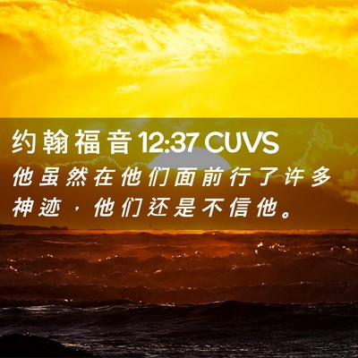 Picture 02 - 约 翰 福 音 12:37 CUVS - 他 虽 然 在 他 们 面 前 行 了 许 多 - Bible Verse Picture
