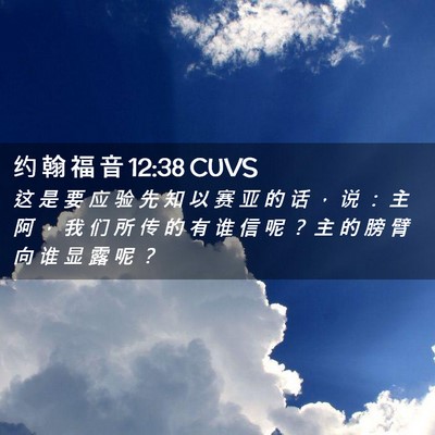 Picture 02 - 约 翰 福 音 12:38 CUVS - 这 是 要 应 验 先 知 以 赛 亚 的 话 - Bible Verse Picture
