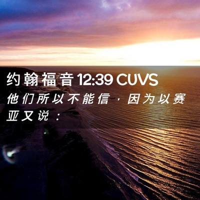 Picture 02 - 约 翰 福 音 12:39 CUVS - 他 们 所 以 不 能 信 ， 因 为 以 赛 - Bible Verse Picture