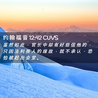 Picture 02 - 约 翰 福 音 12:42 CUVS - 虽 然 如 此 ， 官 长 中 却 有 好 些 - Bible Verse Picture