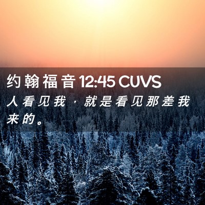 Picture 02 - 约 翰 福 音 12:45 CUVS - 人 看 见 我 ， 就 是 看 见 那 差 我 - Bible Verse Picture