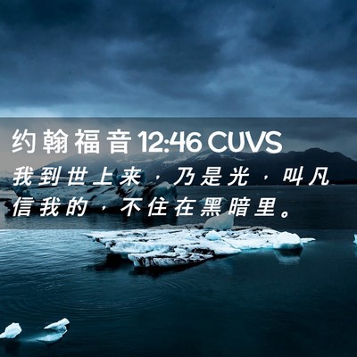 Picture 02 - 约 翰 福 音 12:46 CUVS - 我 到 世 上 来 ， 乃 是 光 ， 叫 凡 - Bible Verse Picture