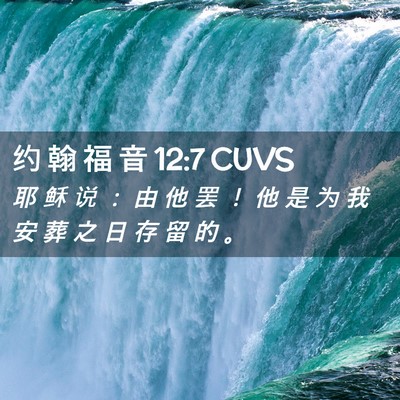 Picture 02 - 约 翰 福 音 12:7 CUVS - 耶 稣 说 ： 由 他 罢 ！ 他 是 为 我 - Bible Verse Picture