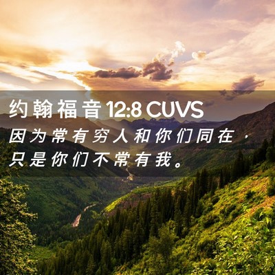 Picture 02 - 约 翰 福 音 12:8 CUVS - 因 为 常 有 穷 人 和 你 们 同 在 ， - Bible Verse Picture