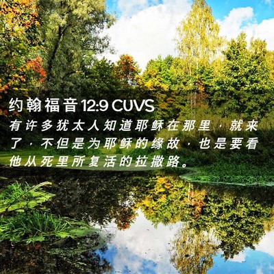 Picture 02 - 约 翰 福 音 12:9 CUVS - 有 许 多 犹 太 人 知 道 耶 稣 在 那 - Bible Verse Picture