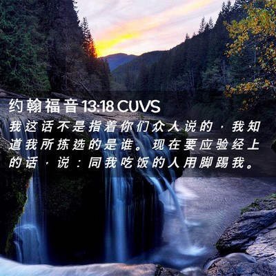 Picture 02 - 约 翰 福 音 13:18 CUVS - 我 这 话 不 是 指 着 你 们 众 人 说 - Bible Verse Picture