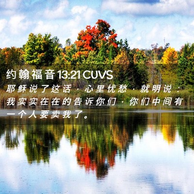 Picture 02 - 约 翰 福 音 13:21 CUVS - 耶 稣 说 了 这 话 ， 心 里 忧 愁 ， - Bible Verse Picture
