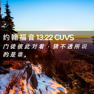 Picture 02 - 约 翰 福 音 13:22 CUVS - 门 徒 彼 此 对 看 ， 猜 不 透 所 说 - Bible Verse Picture