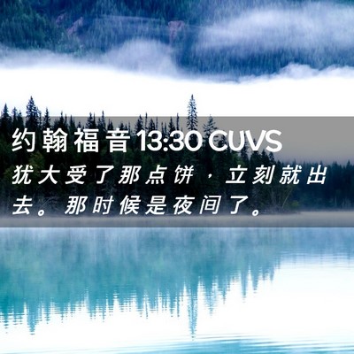 Picture 02 - 约 翰 福 音 13:30 CUVS - 犹 大 受 了 那 点 饼 ， 立 刻 就 出 - Bible Verse Picture