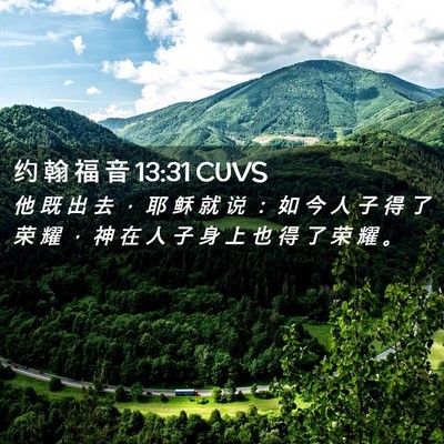 Picture 02 - 约 翰 福 音 13:31 CUVS - 他 既 出 去 ， 耶 稣 就 说 ： 如 今 - Bible Verse Picture