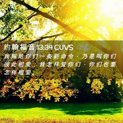 Picture 02 - 约 翰 福 音 13:34 CUVS - 我 赐 给 你 们 一 条 新 命 令 ， 乃 - Bible Verse Picture