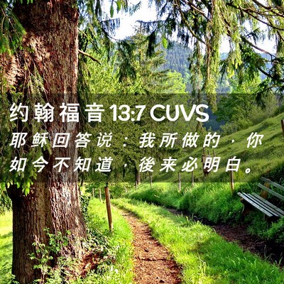 Picture 02 - 约 翰 福 音 13:7 CUVS - 耶 稣 回 答 说 ： 我 所 做 的 ， 你 - Bible Verse Picture