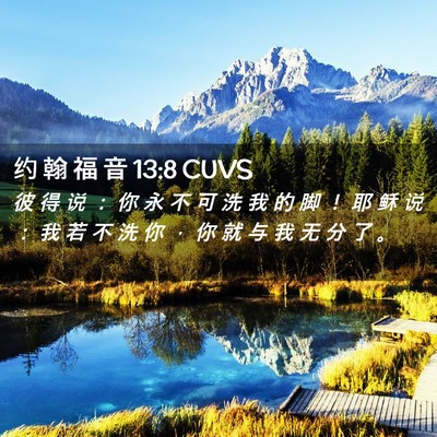 Picture 02 - 约 翰 福 音 13:8 CUVS - 彼 得 说 ： 你 永 不 可 洗 我 的 脚 - Bible Verse Picture