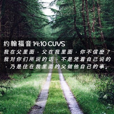 Picture 02 - 约 翰 福 音 14:10 CUVS - 我 在 父 里 面 ， 父 在 我 里 面 ， - Bible Verse Picture