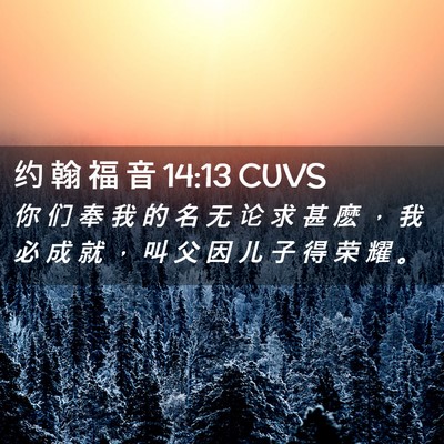 Picture 02 - 约 翰 福 音 14:13 CUVS - 你 们 奉 我 的 名 无 论 求 甚 麽 ， - Bible Verse Picture
