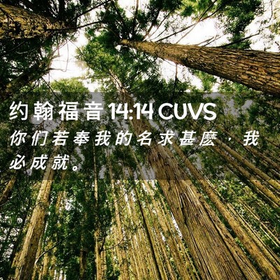 Picture 02 - 约 翰 福 音 14:14 CUVS - 你 们 若 奉 我 的 名 求 甚 麽 ， 我 - Bible Verse Picture