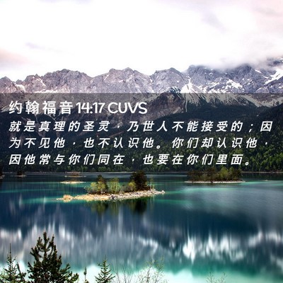 Picture 02 - 约 翰 福 音 14:17 CUVS - 就 是 真 理 的 圣 灵 ， 乃 世 人 不 - Bible Verse Picture