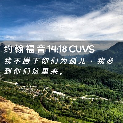 Picture 02 - 约 翰 福 音 14:18 CUVS - 我 不 撇 下 你 们 为 孤 儿 ， 我 必 - Bible Verse Picture