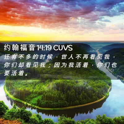 Picture 02 - 约 翰 福 音 14:19 CUVS - 还 有 不 多 的 时 候 ， 世 人 不 再 - Bible Verse Picture