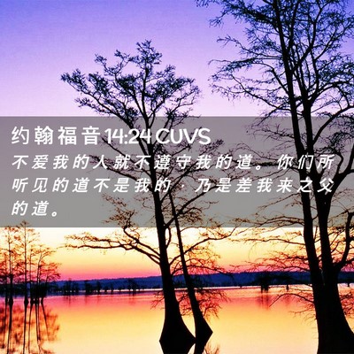 Picture 02 - 约 翰 福 音 14:24 CUVS - 不 爱 我 的 人 就 不 遵 守 我 的 道 - Bible Verse Picture