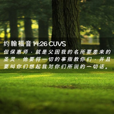 Picture 02 - 约 翰 福 音 14:26 CUVS - 但 保 惠 师 ， 就 是 父 因 我 的 名 - Bible Verse Picture
