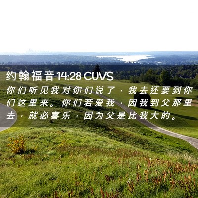 Picture 02 - 约 翰 福 音 14:28 CUVS - 你 们 听 见 我 对 你 们 说 了 ， 我 - Bible Verse Picture