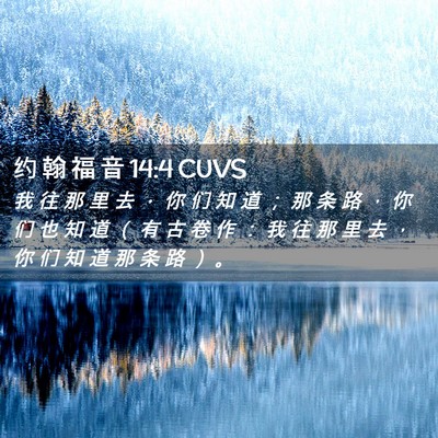 Picture 02 - 约 翰 福 音 14:4 CUVS - 我 往 那 里 去 ， 你 们 知 道 ； 那 - Bible Verse Picture
