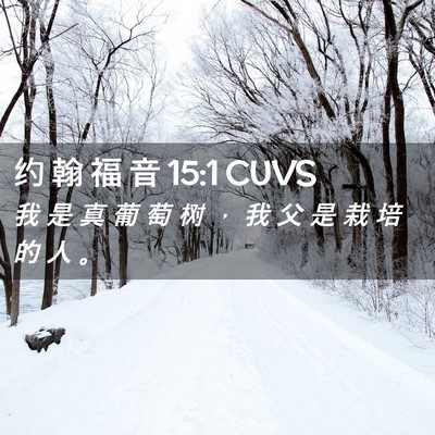 Picture 02 - 约 翰 福 音 15:1 CUVS - 我 是 真 葡 萄 树 ， 我 父 是 栽 培 - Bible Verse Picture