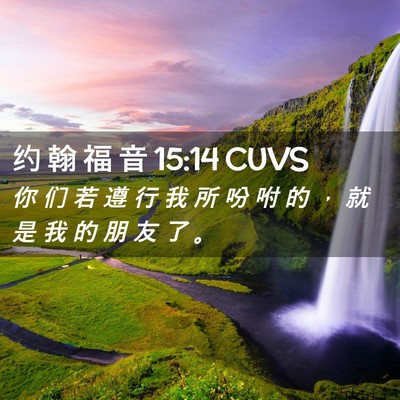 Picture 02 - 约 翰 福 音 15:14 CUVS - 你 们 若 遵 行 我 所 吩 咐 的 ， 就 - Bible Verse Picture