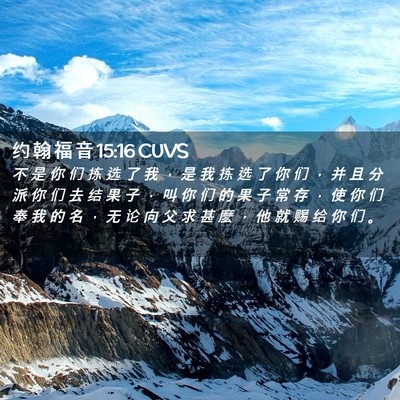 Picture 02 - 约 翰 福 音 15:16 CUVS - 不 是 你 们 拣 选 了 我 ， 是 我 拣 - Bible Verse Picture