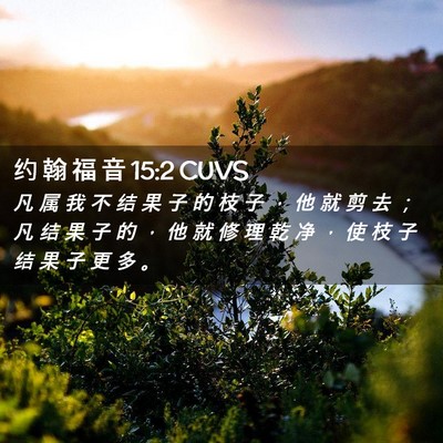 Picture 02 - 约 翰 福 音 15:2 CUVS - 凡 属 我 不 结 果 子 的 枝 子 ， 他 - Bible Verse Picture
