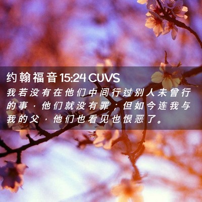 Picture 02 - 约 翰 福 音 15:24 CUVS - 我 若 没 有 在 他 们 中 间 行 过 别 - Bible Verse Picture