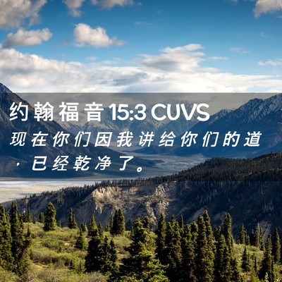 Picture 02 - 约 翰 福 音 15:3 CUVS - 现 在 你 们 因 我 讲 给 你 们 的 道 - Bible Verse Picture