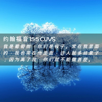 Picture 02 - 约 翰 福 音 15:5 CUVS - 我 是 葡 萄 树 ， 你 们 是 枝 子 。 - Bible Verse Picture