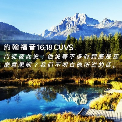 Picture 02 - 约 翰 福 音 16:18 CUVS - 门 徒 彼 此 说 ： 他 说 等 不 多 时 - Bible Verse Picture