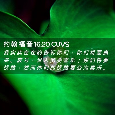 Picture 02 - 约 翰 福 音 16:20 CUVS - 我 实 实 在 在 的 告 诉 你 们 ， 你 - Bible Verse Picture