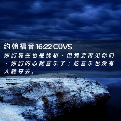 Picture 02 - 约 翰 福 音 16:22 CUVS - 你 们 现 在 也 是 忧 愁 ， 但 我 要 - Bible Verse Picture