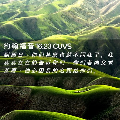 Picture 02 - 约 翰 福 音 16:23 CUVS - 到 那 日 ， 你 们 甚 麽 也 就 不 问 - Bible Verse Picture