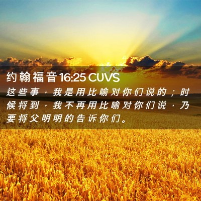 Picture 02 - 约 翰 福 音 16:25 CUVS - 这 些 事 ， 我 是 用 比 喻 对 你 们 - Bible Verse Picture