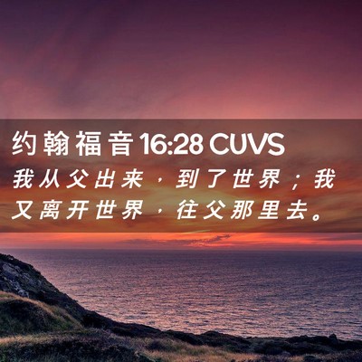 Picture 02 - 约 翰 福 音 16:28 CUVS - 我 从 父 出 来 ， 到 了 世 界 ； 我 - Bible Verse Picture